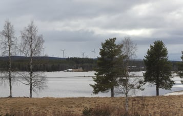 Fotomontage från Blattnicksele. Foto: Petra Berggrund