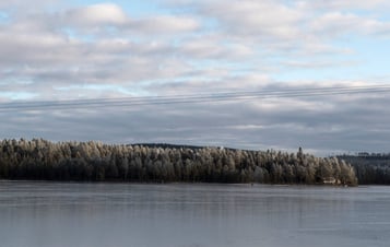 Skog och vatten i närheten av Vargträsk