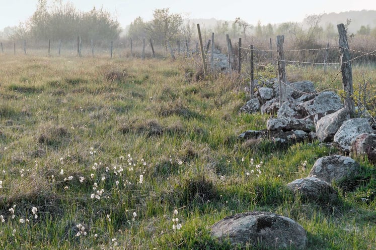 Vindkraftverk i vinterlandskap