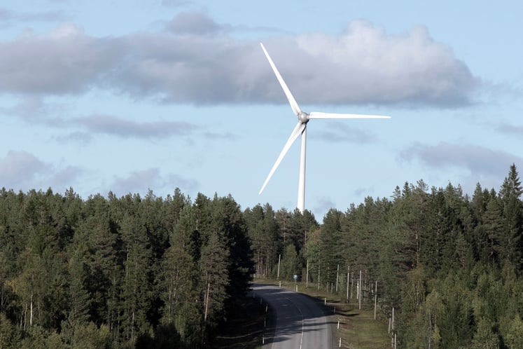 En skogsväg med ett vindkraftverk i bakgrunden