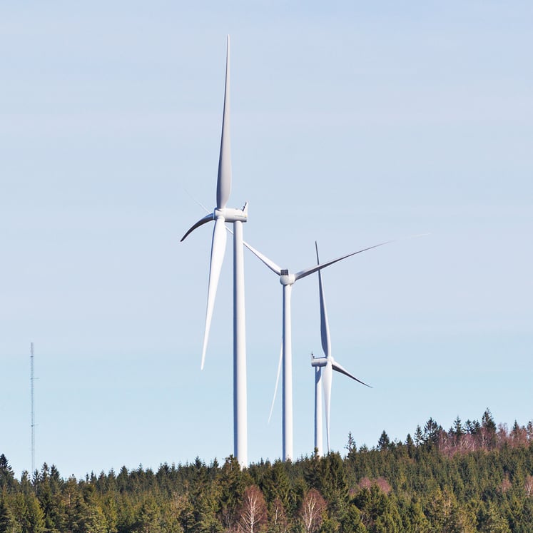 Tre vindkraftverk på en skogshöjd Tre vindkraftverk på en skogshöjd