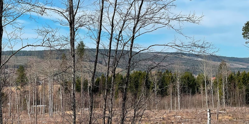 Stormyrberget fotograferat från Skorpeds kyrka i maj 2023